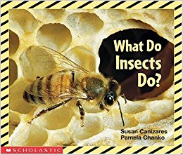 What Do Insects Do? (Science Emergent Reader): Susan ...