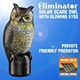 Amazon.com : Bird-X Prowler Owl Decoy with Moving Wings ...