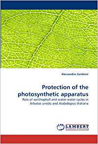 Protection of the photosynthetic apparatus: Role of ...