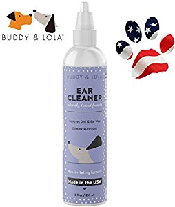 Amazon.com : Healthy, Clean, Irritation & Infection Free ...