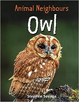 Owl (Animal Neighbours): Stephen Savage: 9780750244763 ...
