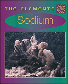 Sodium (Elements): Anne O'Daly: 9780761412717: Amazon.com ...