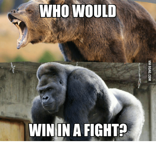 WHO WOULD WIN IN a FIGHT | Who Would Win Meme on me.me