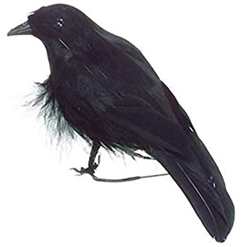 Amazon.com : Brand New Lot of 9 Halloween Black Feathered ...