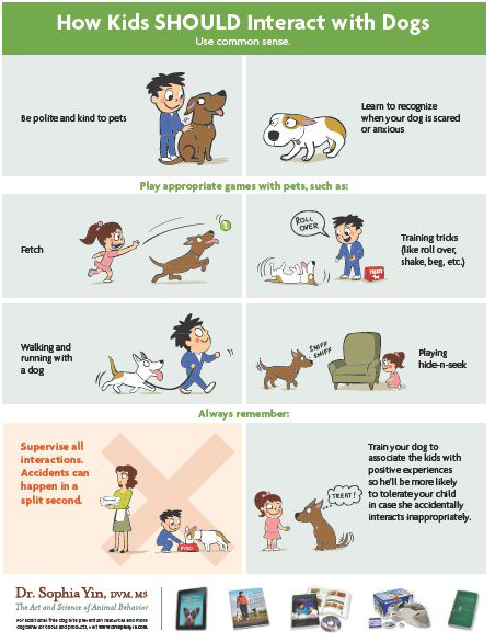 Setting Kids & Dogs Up for Success | dogcentrictraining