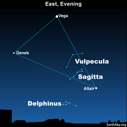 Summer Triangle and smallest constellations | Tonight ...
