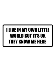 Amazon.com: 6" wide I LIVE IN MY OWN LITTLE WORLD BUT IT'S ...