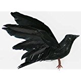 Amazon.com : Brand New Lot of 9 Halloween Black Feathered ...