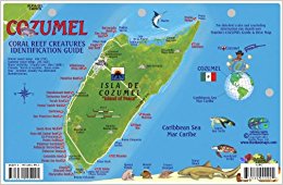 Cozumel Dive Map & Reef Creatures Guide Franko Maps ...