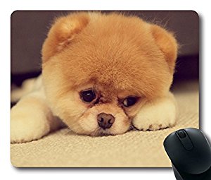 Amazon.com : Custom Glamorous Mouse Pad with Pomeranian ...