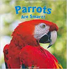 Parrots Are Smart! (Super Smart Animals): Leigh Rockwood ...