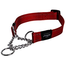 Amazon.com: dog collar choker nylon