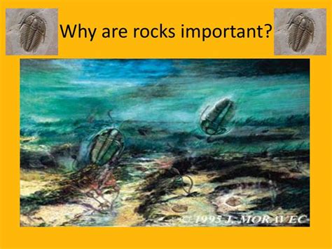 PPT - Rocks and Rock Cycle PowerPoint Presentation - ID ...