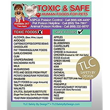 Amazon.com: TOXIC FOODS Poison for Pets Dogs Cats ...