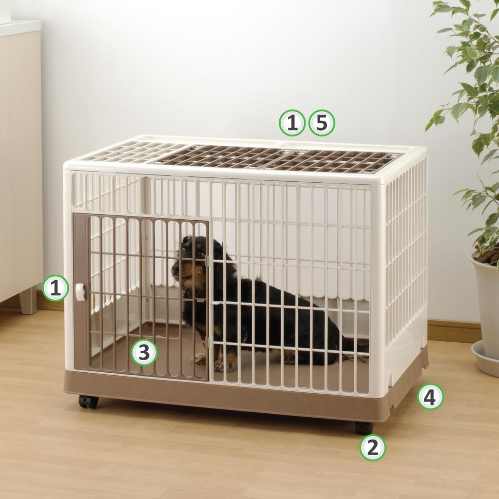 Amazon.com : Richell Pet Training Kennel PK 830 : Dog ...