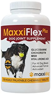 Amazon.com : MaxxiFlex Plus Dog Joint Supplement with ...