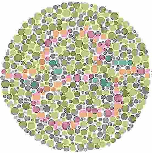 Color Blindness Test - Ultimate Edition | Mighty Optical ...