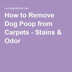 1000+ ideas about Remove Dog Odor on Pinterest | Dog Urine ...