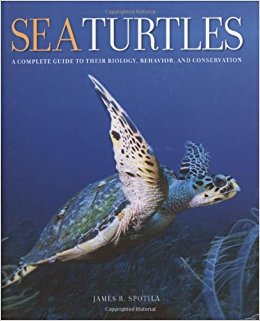 Sea Turtles: A Complete Guide to Their Biology, Behavior ...
