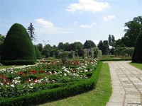 Roses Park