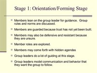 Stage 1 -- Orientation (Forming):