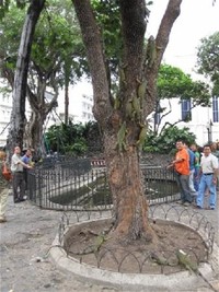 Iguana Park Parque De Diversiones