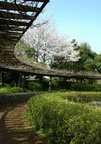 Konbukuro Pond