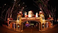 Santa's Enchanted Forest