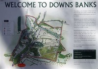 National Trust - Downs Banks