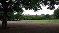 Koryo Park