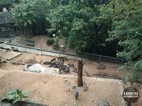 El Pinar Zoo