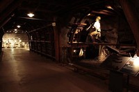 Iwaki City Coal and Fossil Museum