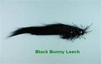 Bunny Bass Leech