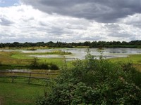 The Chase Nature Reserve