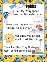 Itsy Bitsy ​Spider​