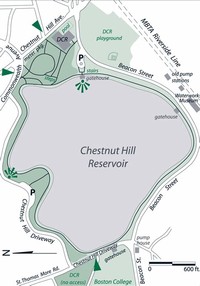 Chestnut Hill Reservation