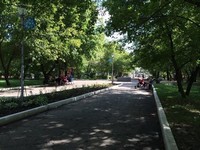 Dora Park