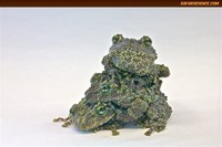 Vietnamese ​Mossy Frog​