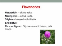 Flavanones Hesperidin Citrus Fruits