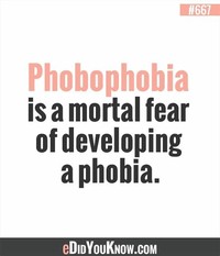 Phobophobia: Fear of Phobias