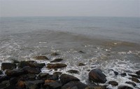 Ponnani Beach