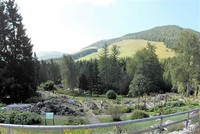 Viote Alpine Botanical Garden