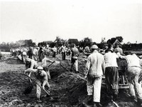 Dauerausstellung "Auf der Spur EuropäIscher Zwangsarbeit SüDniedersachsen 1939 – 1945""