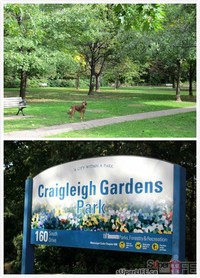 Craigleigh Gardens