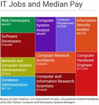 Computer and Information Systems Manager