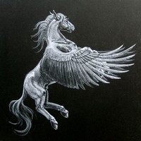 Pegasus​