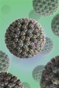 Rotavirus is the Leading Cause in Children