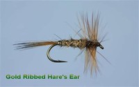 Gold-Ribbed Hare's Ear