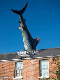 The Headington Shark