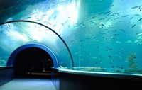 Niigata City Aquarium